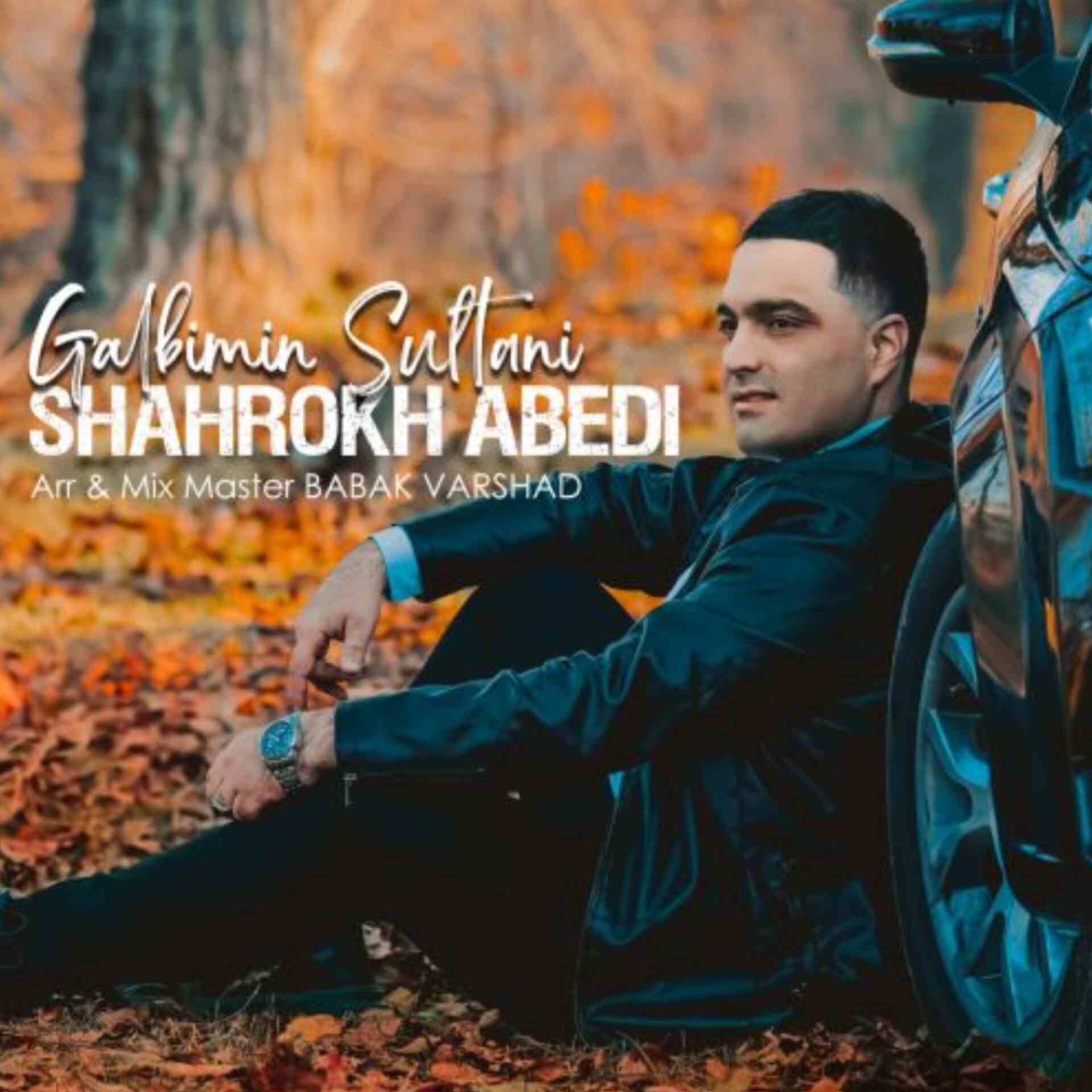 آهنگ جدید شاهرخ عابدی قلبیمین سلطانی